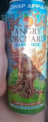 Angry Orchard Crisp Apple 24oz Can